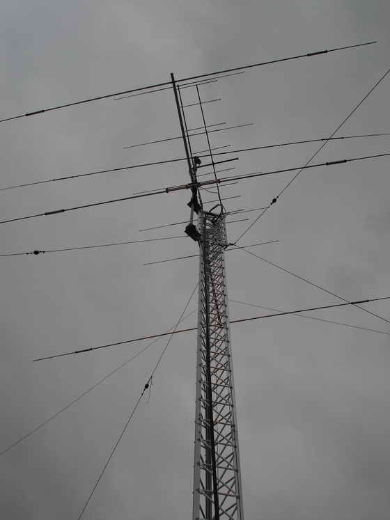 gal/Antennas/DSC00245.jpg